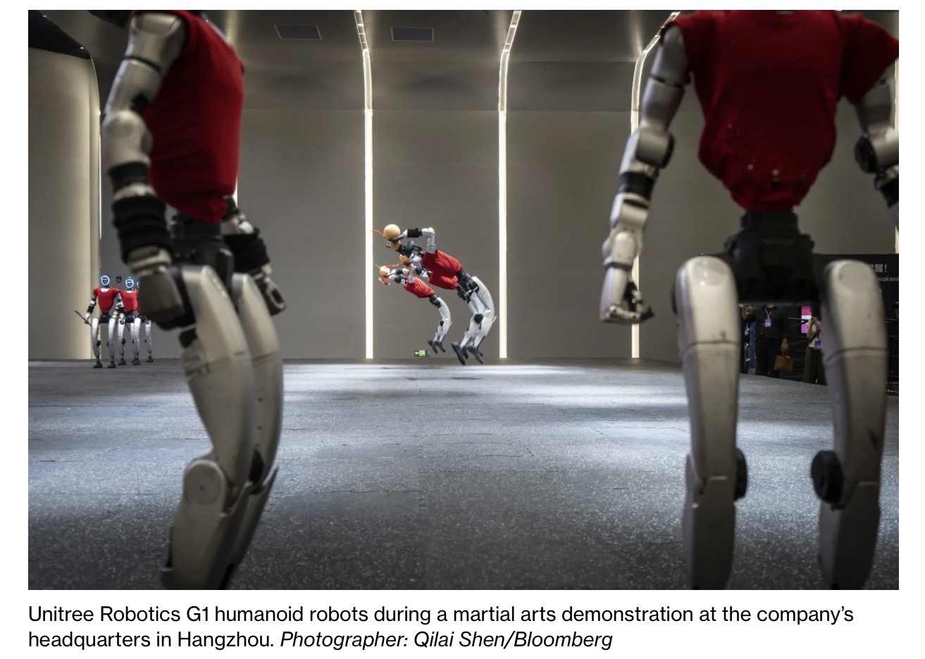 Unitree Robotics G1