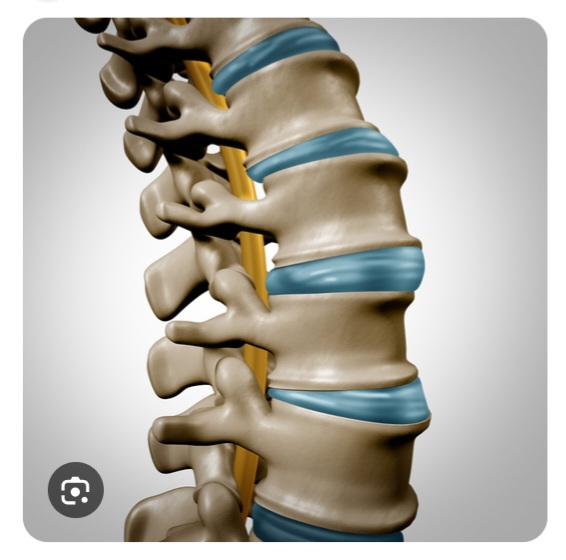 FireFly Robotics e Centinel Spine depositano il prospetto alla SEC