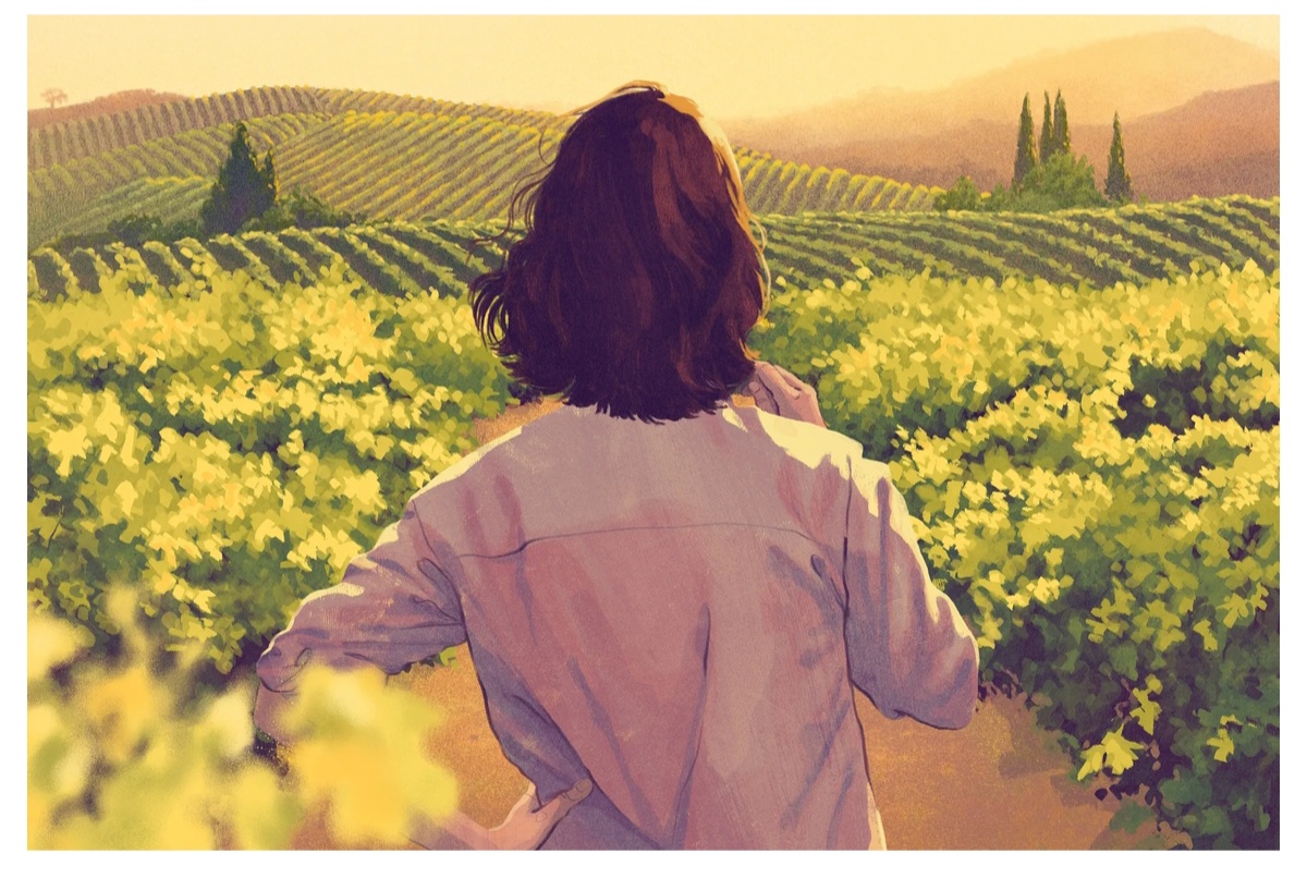 Vigneti in collina: comprare una cantina nel 2026